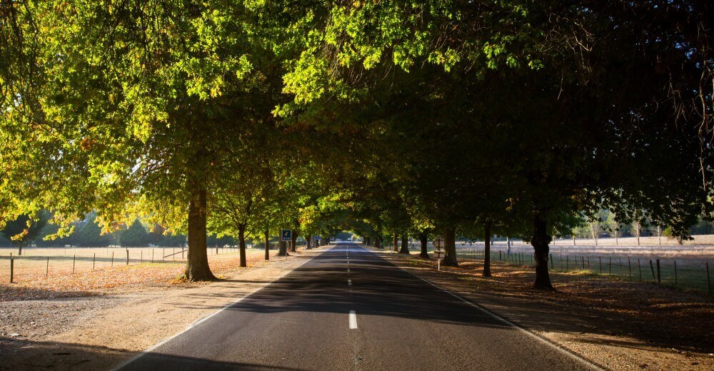 Entrance into Bright on a autumn morning along the Great Alpine Rd in Victoria