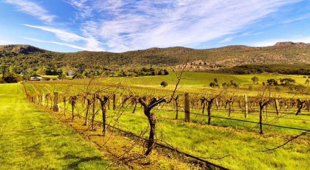 Grampians wine tours - Vineyards in the Grampians Victoria