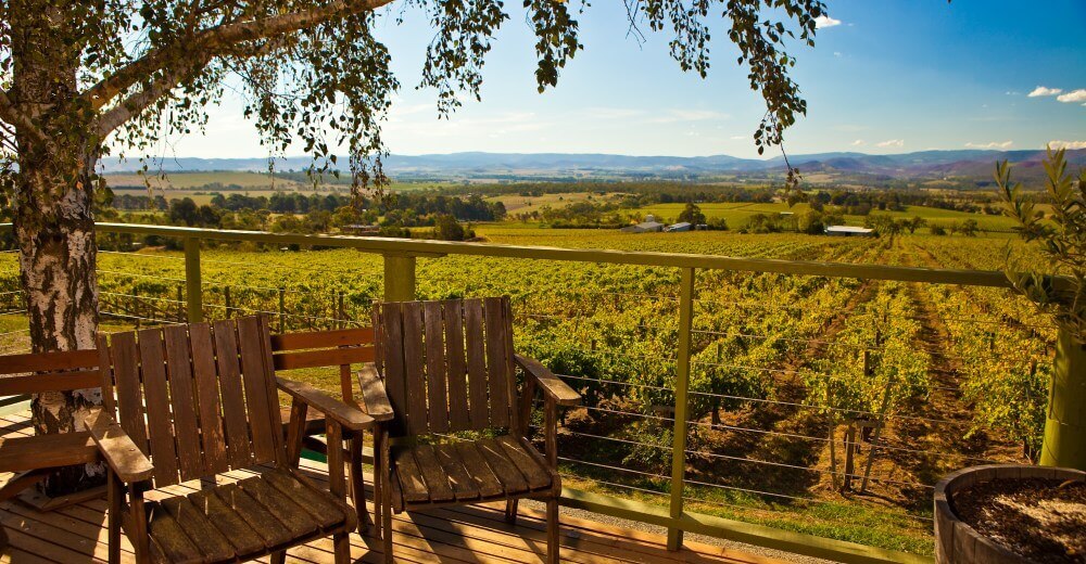 Yarra Valley and High Country View of vineyard from the porch