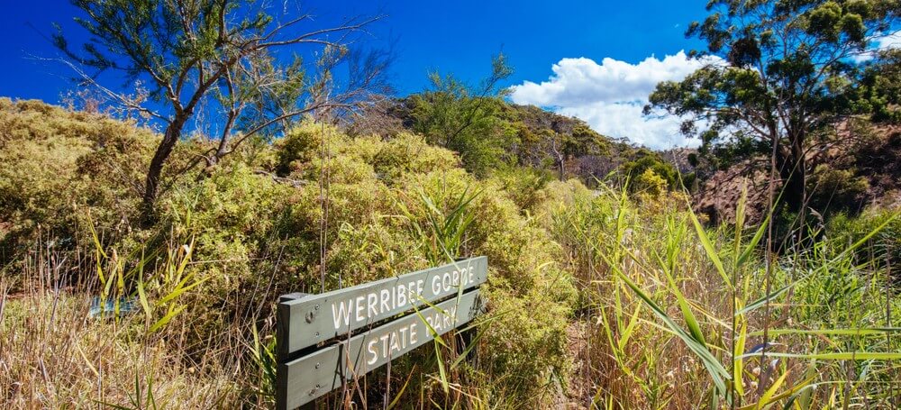 Trip to Werribee Gorge Walking Tracks