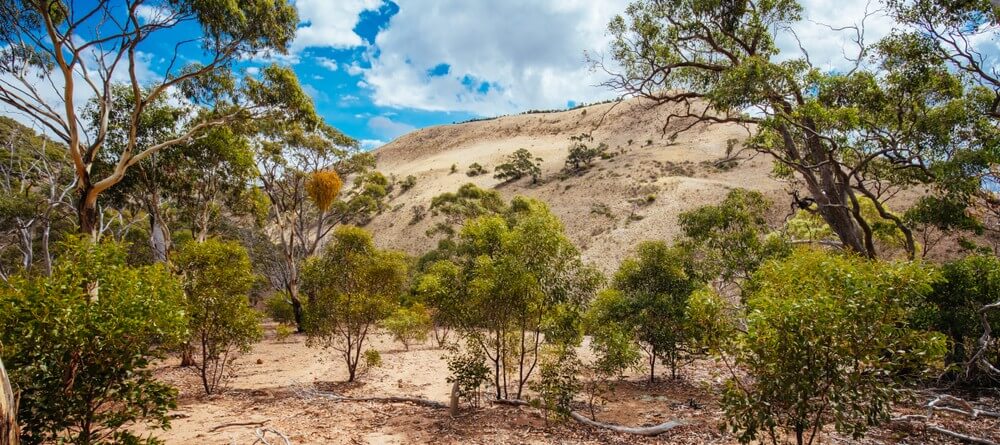 Visit Werribee Gorge the famous landmark