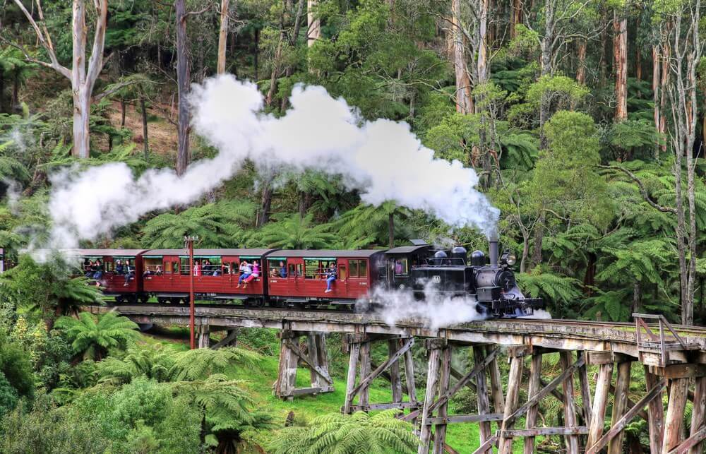 Dandenong Ranges a popular destination of guests visitng Australian Open