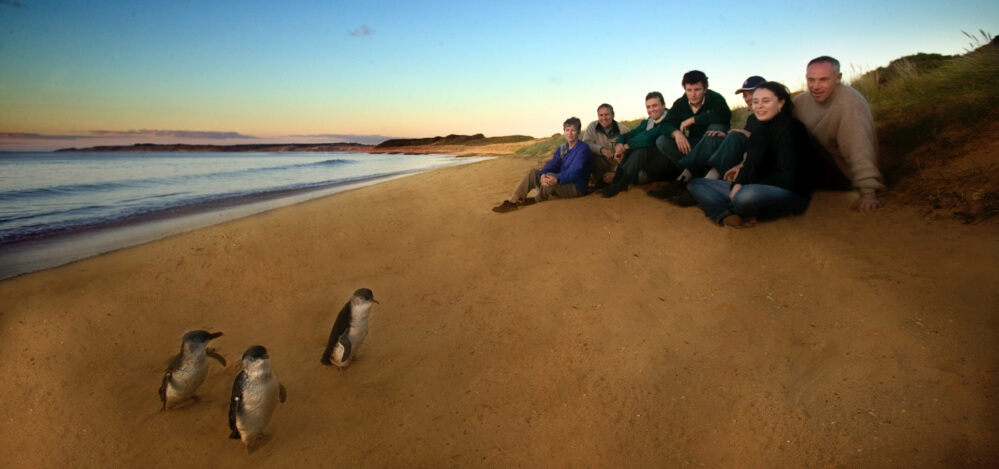 AU Private Tours Explore Phillip Island on the private tour along with Motorbike event