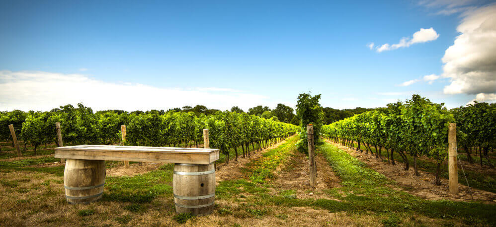 AU Private Tours Mornington Peninsula for food and wine lovers