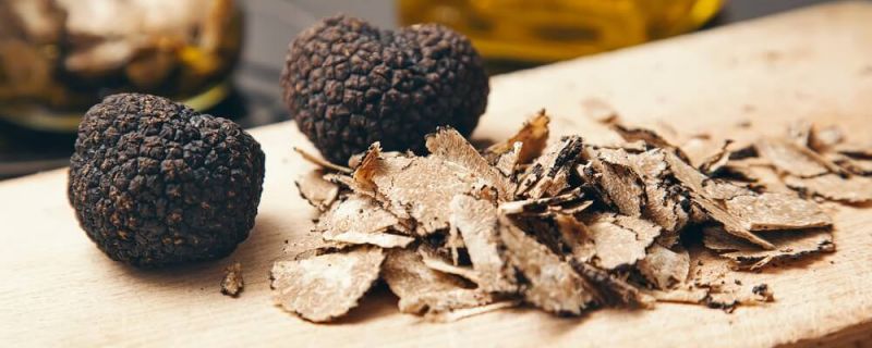 Truffle Heaven: Why it’s time to go truffle hunting in Melbourne