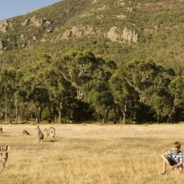 Australian Tourism and Bushfires