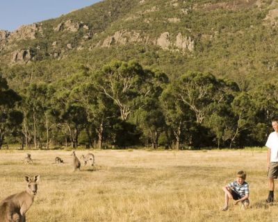 Australian Tourism and Bushfires