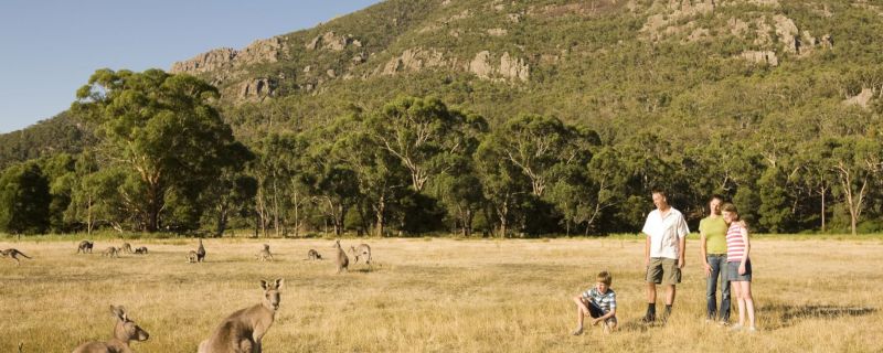 Australian Tourism and Bushfires