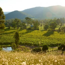 Victoria’s High Country in Autumn