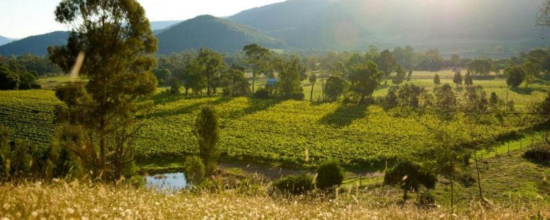 Victoria’s High Country in Autumn