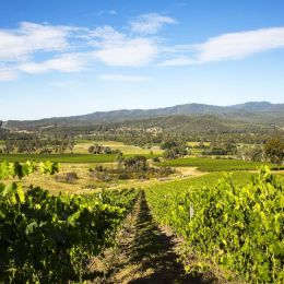 Victoria’s Wine Regions Revealed