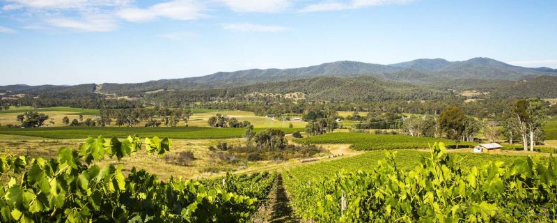 Victoria’s Wine Regions Revealed