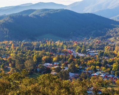 The High Country Victoria: Ways to explore this beautiful region